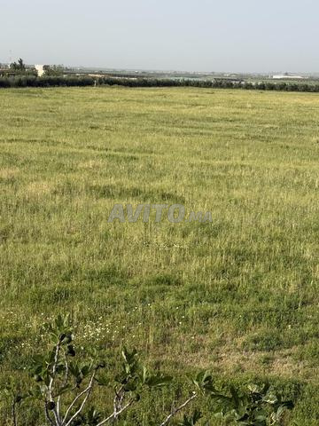 4.5 hectares à vendre - 2