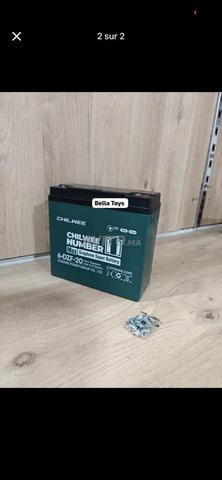 Batterie Chilwee 12V 20Ah - 2