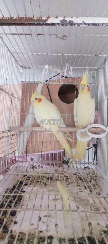 قابل للتفاوض - 2