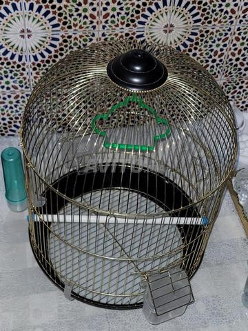 Cage oiseaux - 2