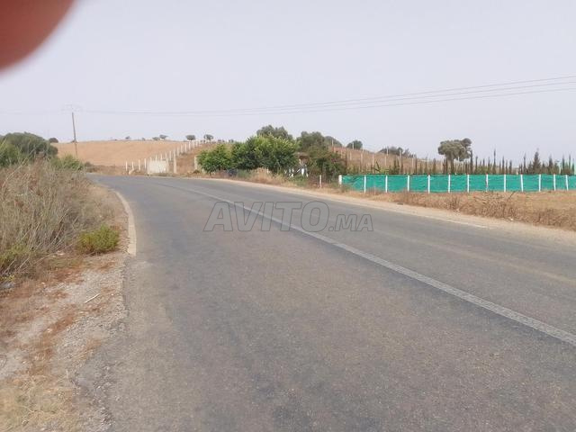Terrain de 1306m² à Lahd Gherbia, Asilah - 2