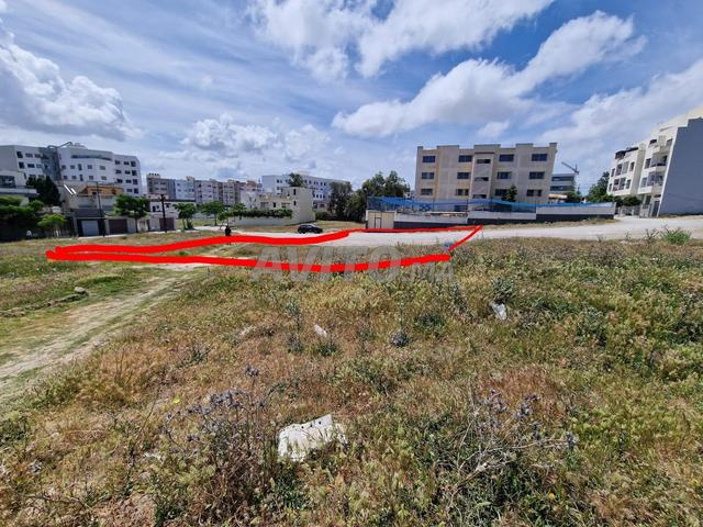 Terrain villa titré à vendre Tanger - 2