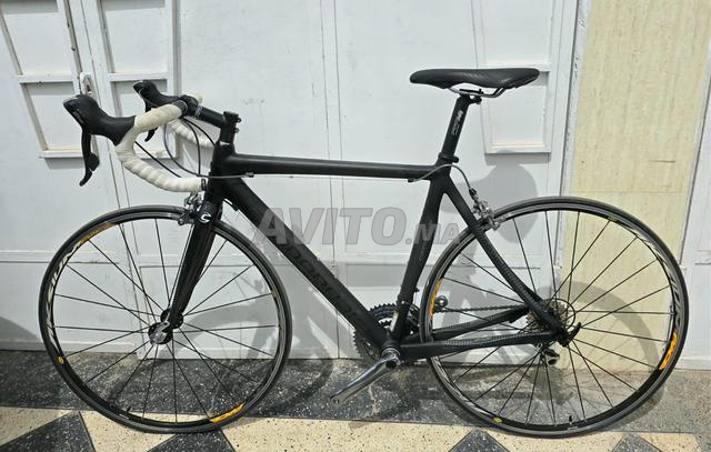 Demi Cannondale Carbone - 2
