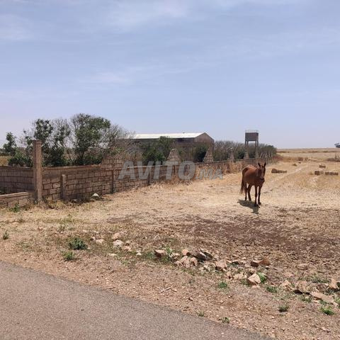 أرض مع حظيرة - 2