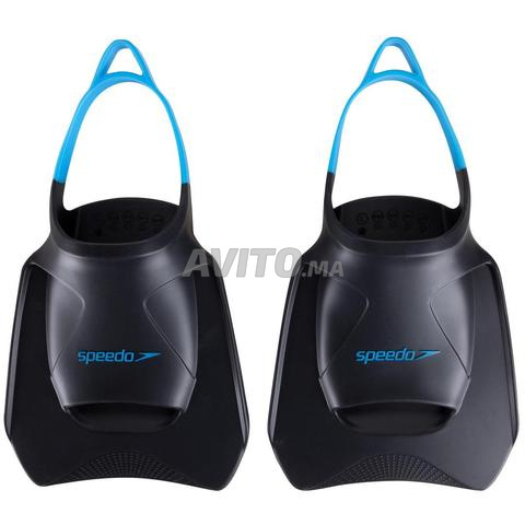 Palmes Speedo - 2
