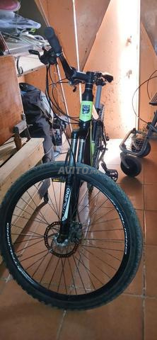 Vélo ITALIANO 29 pouces