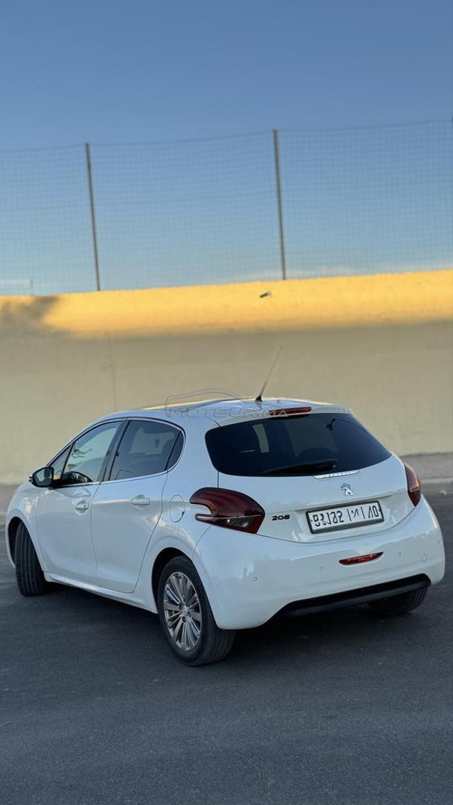208  white edition 