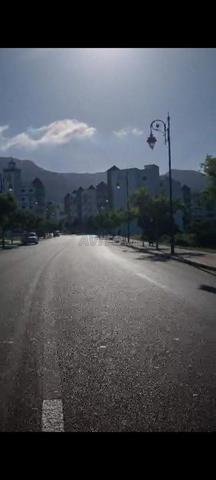 بوجراح على طريق 20