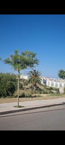 بوجراح على طريق 20 - 2