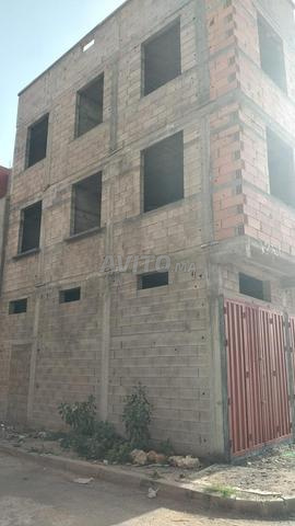 السعادة ببن قريش - 2