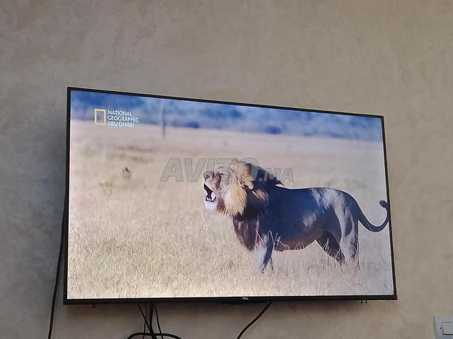تلفاز TCL ذكي 43 بوصة، غير مستعمل