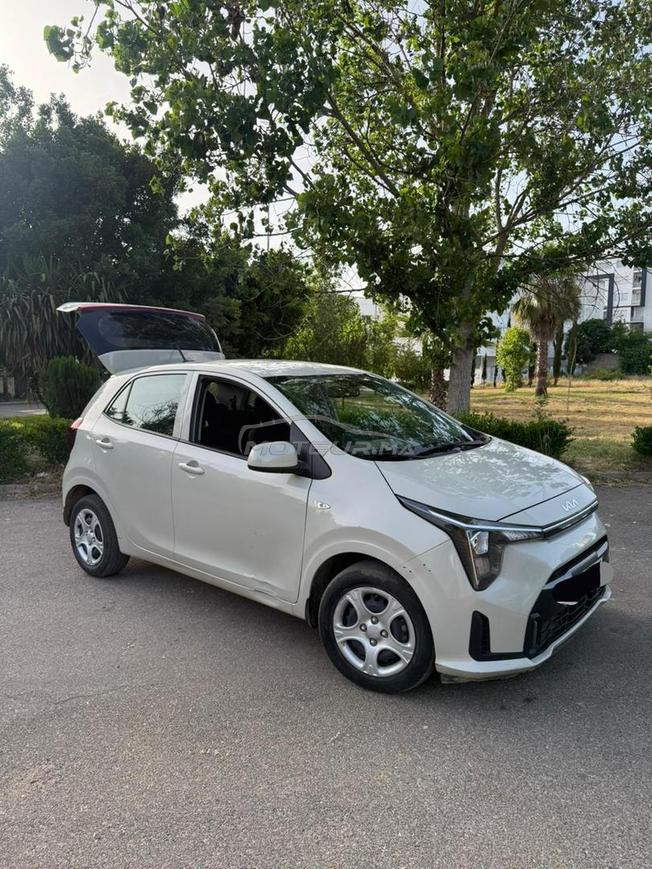 Kia Picanto Essence Automatique 2025 à Larache