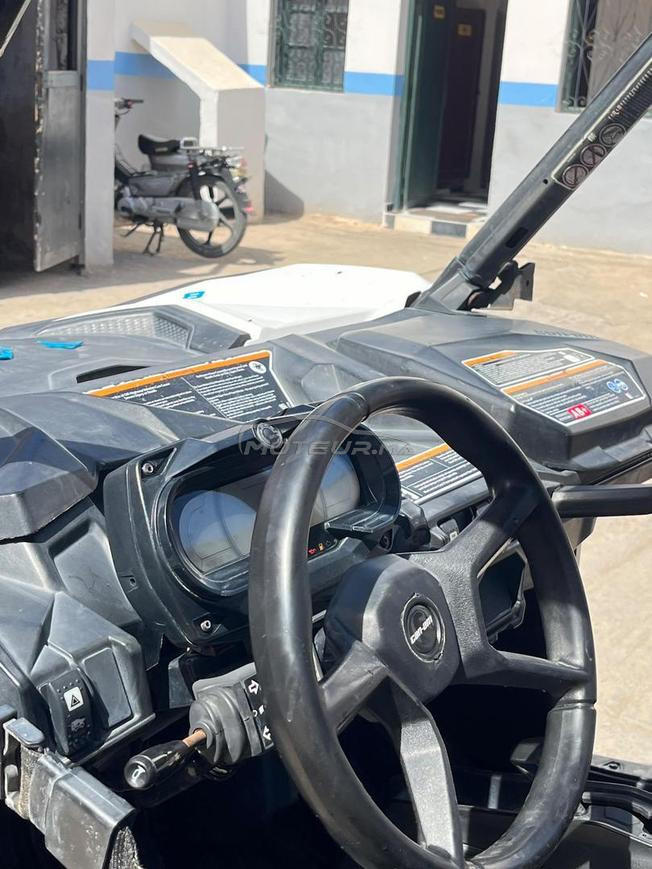 Buggy can am Maverick Trail 800 
