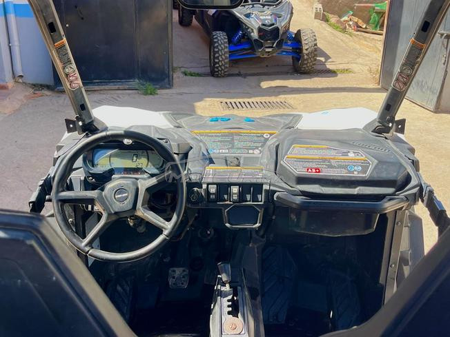 Buggy can am Maverick Trail 800 