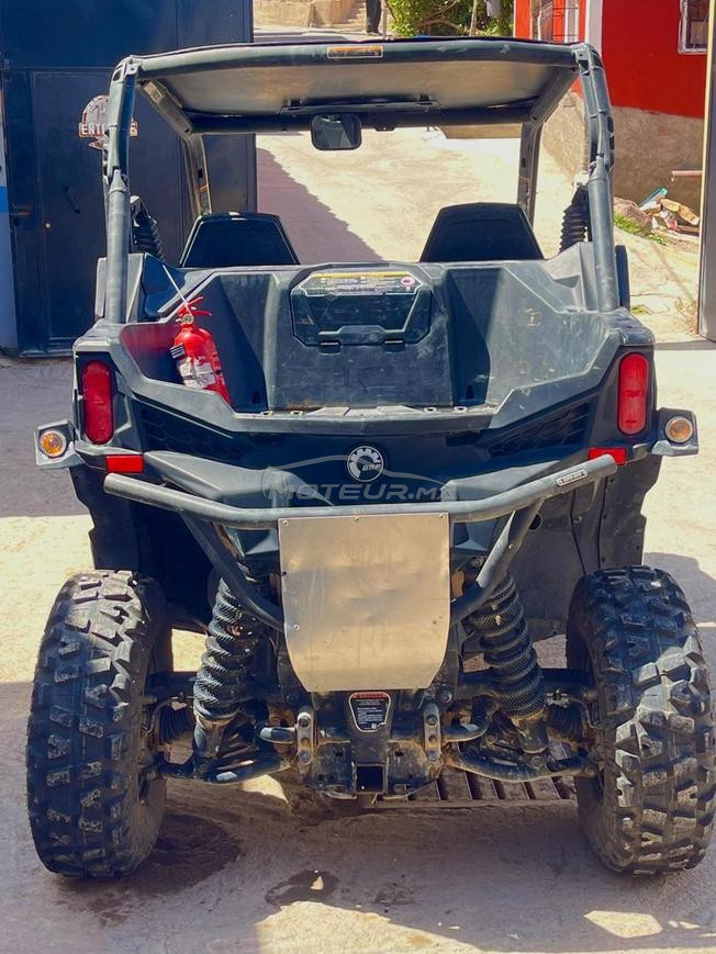 Buggy can am Maverick Trail 800 