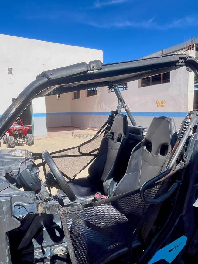 Buggy can am Maverick Trail 800 