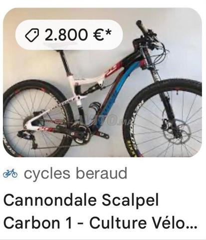Vélo de luxe