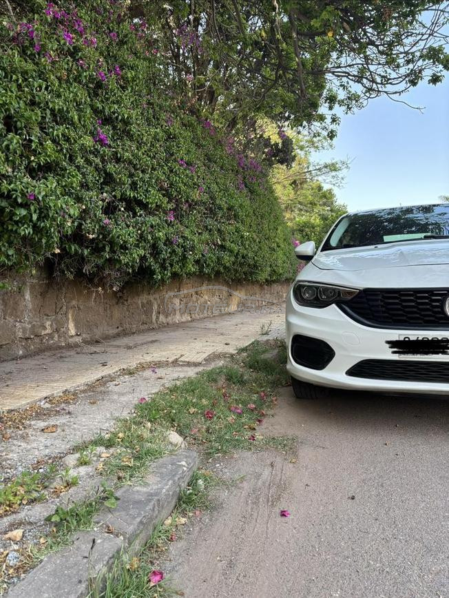 Fiat Tipo street 2021 