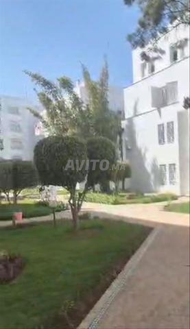 Appartement 3 chambres, 2 salons en location