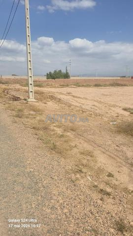 أرض للبيع في الويدان مراكش - 2