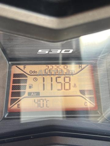 T MAX ÉDITION LIMITÉE 50EME ANNIVERSAIRE