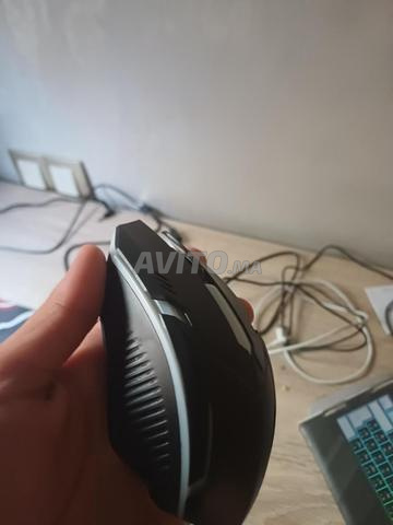 Souris rgb - 2