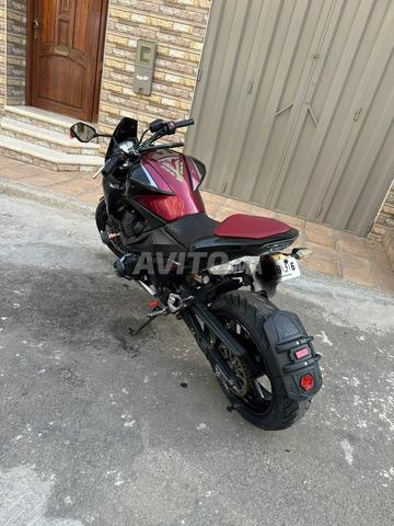 Kawasaki Z800 Sugomi - 2