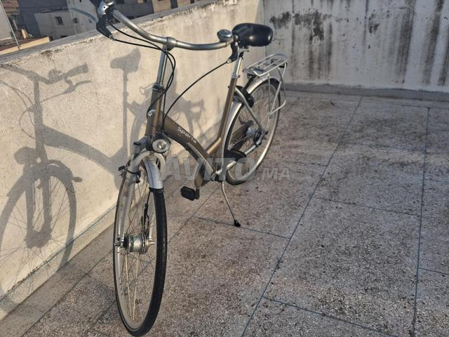 Vélo hollandais - 2