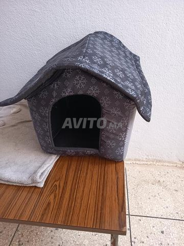 Maison pour chats 🐱 - 2