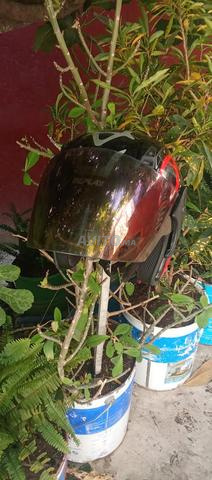 Casque avec quelques pièces de carburateur - 2