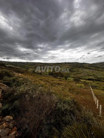 Terrain 2000m² à vendre – 350DH/m² - 2
