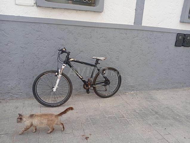 Vélos Ridley Bonne qualité