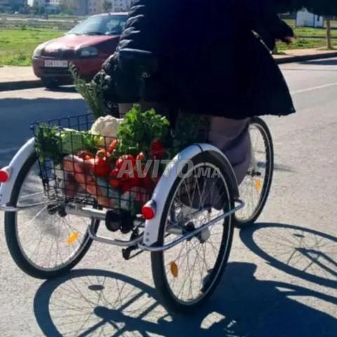 Vélo électrique tricycle - 2