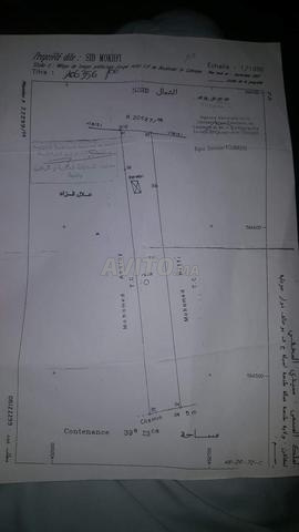 Terrain titré à Tanger Gzenaya, superficie 4000 m² - 2