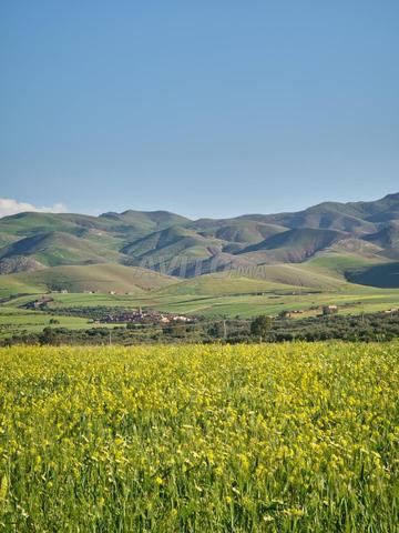Terrain titre 2 hectares et 1800 m2