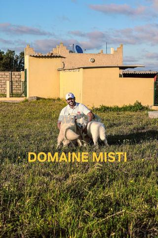 Pension / Hôtel pour chiens PRO