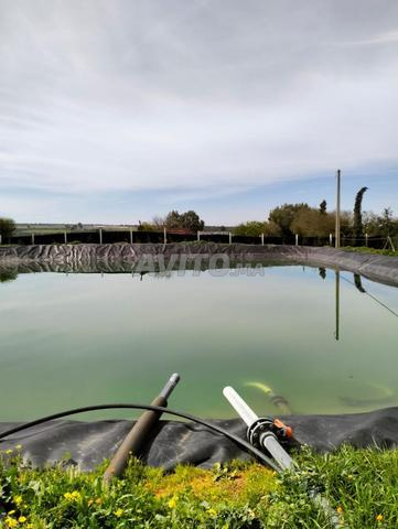 TERRAIN SITUE A RIBAA A VENDRE - 2
