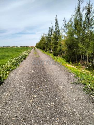 TERRAIN SITUE A RIBAA A VENDRE