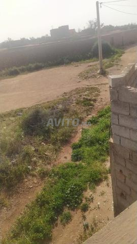 Grand terrain constructible et agricole