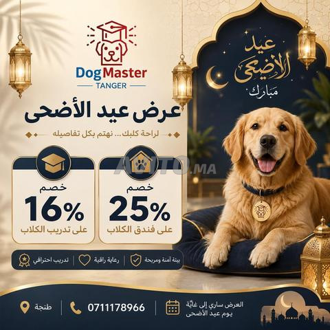 Hôtel et Dressage pour chiens