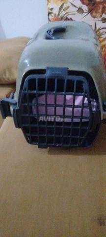 Maison pour chats avec gamelle gratuite à l'achat