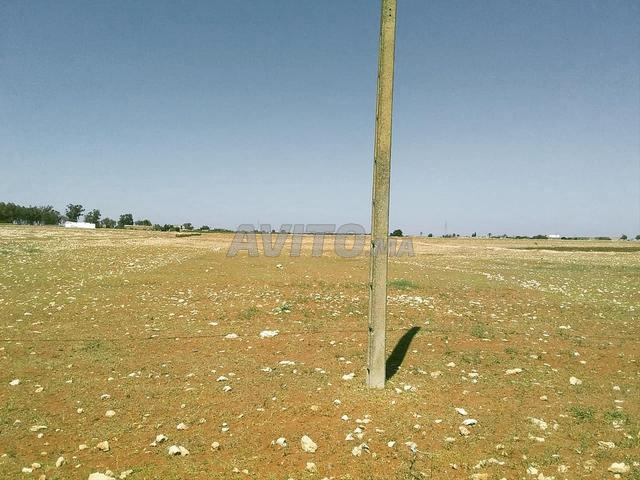 Terrain 13000 m² à Sidi Smail région El Jadida