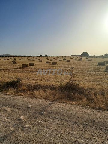 أرض للبيع - 2