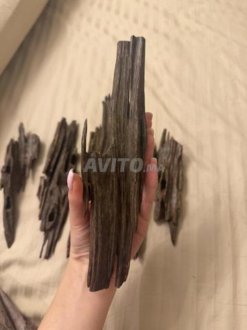 Oud naturel - 2