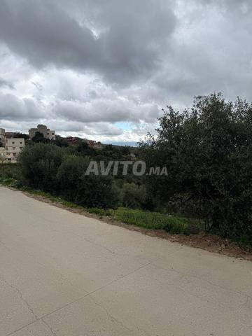 560 m² à Rman Melloussa Tanger - 2