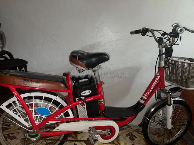Vélo électrique Lugerna à vendre - 2