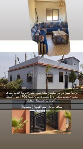 Ain Qasab Ben Slimane - 2