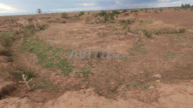 Terrain constructible Marrakech - Sidi Rahal - 2