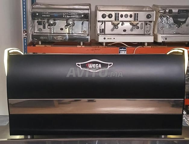 Wega Polaris 2023 - 2