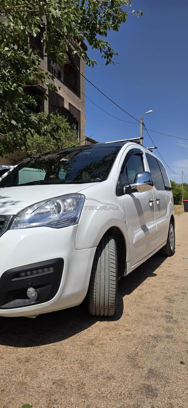 Peugeot tepee partner